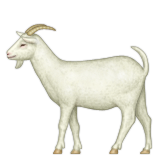 Emoji Natur-49